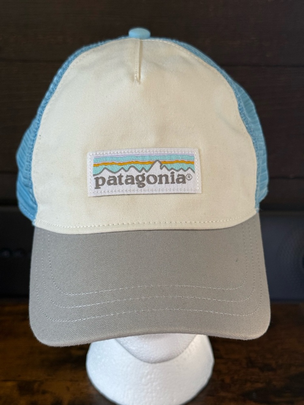 Patagonia Trucker Cap in Cream, Light Blue & Gray